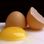 egg & yolk