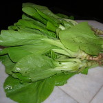 siew pak choi